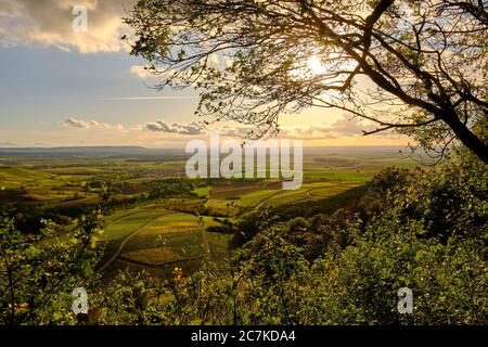 Weinberge am Stollberg - Deutschlands höchstgelegenster Weinberg - bei Handthal im Steigerwald, Landkreis Schweinfurt, Unterfranken, Franken, Bayern, Deutschland Stockfoto