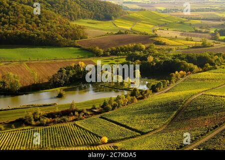 Weinberge am Stollberg - Deutschlands höchstgelegenster Weinberg - bei Handthal im Steigerwald, Landkreis Schweinfurt, Unterfranken, Franken, Bayern, Deutschland Stockfoto