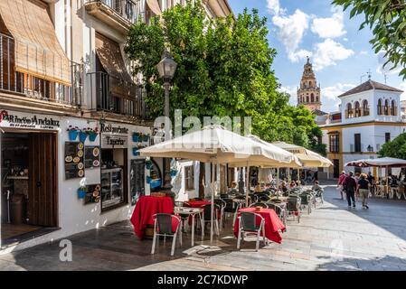 Córdoba Torre Campanario, erhebt sich über die Gäste und schlentert abends auf der Plaza Agrupación de Cofradias Stockfoto