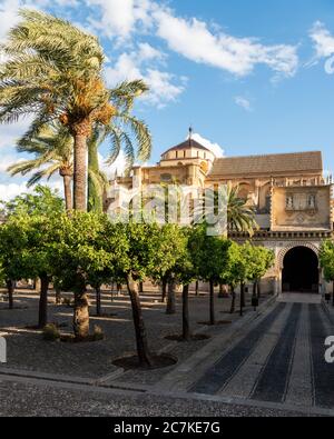 Die Moschee-Kathedrale (Mezquita) von Cordoba vom Patio de los Naranjos (Innenhof der Orangenbäume) Stockfoto