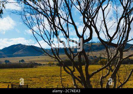 Dramatische Aussicht auf die Hügel von Minas Gerais, teilweise bedeckt von trockenen Ästen am Nachmittag in einem wolkigen blauen Himmel. Stockfoto