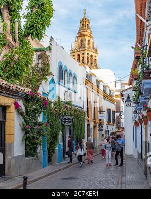 Das große Steinminarett der Moschee-Kathedrale von Córdoba erhebt sich über den farbenfrohen Geschäften und Restaurants, die die enge Calle Romero säumen Stockfoto