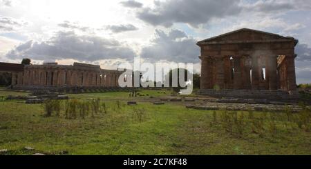 Tempel der Athena in Paestum Stockfoto