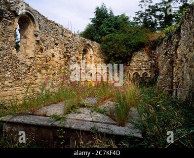 Sehen Sie nordöstlich der normannischen Leprakrankenhauskapelle in der St James' Church, Dunwich, Suffolk, England, Großbritannien, mit romanischer Apsis, blinder Arkade und runden Fenstern Stockfoto