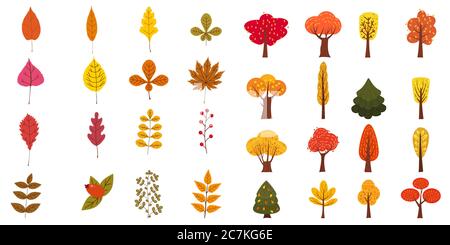 Set von niedlichen bunten Herbstlaub Bäume und Beeren. Gelbe, orange, rote, braune Farben. Isoliert auf weißem Hintergrund. Einfache Cartoon flachen Stil Stock Vektor