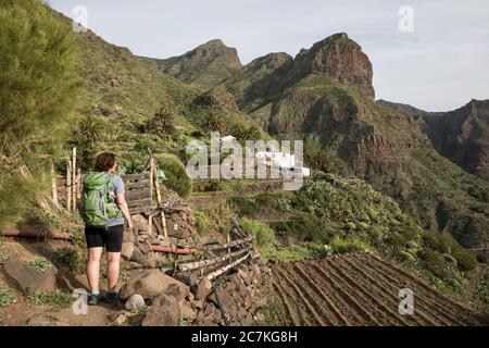 Wanderung im Teno-Gebirge zum Bergdorf Masca, Teneriffa, Kanarische Inseln, Spanien Stockfoto