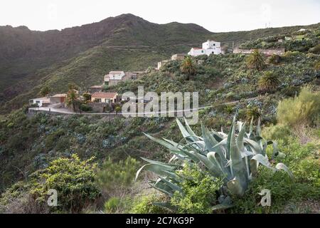 Bergdorf Masca im Teno Gebirge, Teneriffa, Kanarische Inseln, Spanien Stockfoto