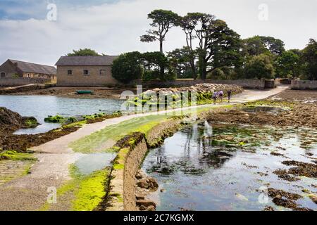 ÎLE DE BERDE, BRETAGNE, FRANKREICH: Schritt zum Île de Berde, nur bei Ebbe zugänglich. Stockfoto