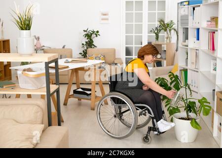 Junge behinderte Frau in Casualwear sitzen im Rollstuhl und Bewässerung grün häusliche Pflanze in weißen Blumentopf auf dem Boden von Bücherregal Stockfoto