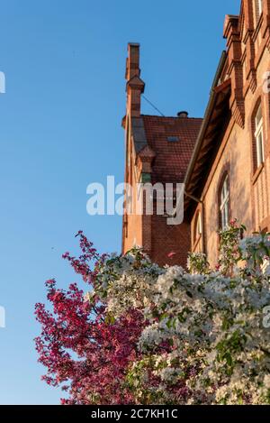 Deutschland, Sachsen-Anhalt, Friedensau: Blick auf das Hauptgebäude der Theologischen Universität Friedensau, Siebenten-Tags-Adventist. Stockfoto