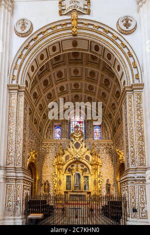 Die verzierte Capela de Nuestra Señora del Carmen, in der Kathedrale von Granada, Spanien Stockfoto