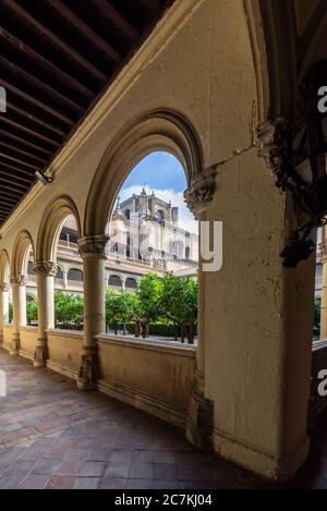 Die Kirche von Saint Jerónimo erhebt sich über den Orangenbäumen im Garten des Hauptklosters des Real Monasterio de San Jerónimo de Granada. Stockfoto