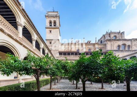 Die Kirche Saint Jerónimo erhebt sich über Reihen von Orangenbäumen im Garten des Hauptklosters des Real Monasterio de San Jerónimo de Granada. Stockfoto