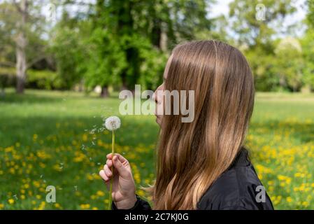 Schulmädchen, Löwenzahn Stockfoto