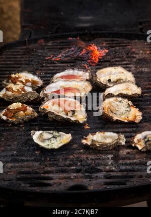 Auster, Grill, Gratin, Delikatesse, Zubereitung Stockfoto