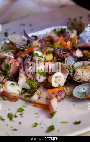 Meeresfrüchte, Salat, Krake, Delikatesse Stockfoto