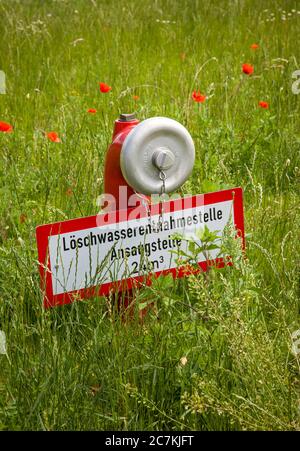 Wasserversorgung, Löschwasser, Blumenwiese, Wildblumen Stockfoto