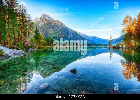 Fantastischer Herbstaufgang am Hintersee. Schöne Baumlandschaft in der Nähe des türkisfarbenen Wassers des Hintersees. Lage: Resort Ramsau, Nationalpark Be Stockfoto