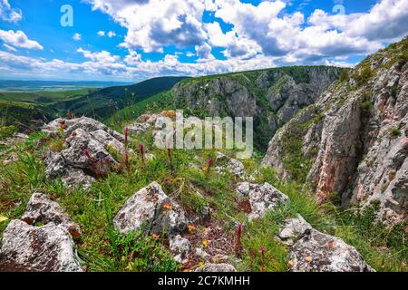 Turda Schlucht Cheile Turzii ist ein Naturschutzgebiet mit markierten Wanderwegen für Wanderungen auf dem Fluss Hasdate in der Nähe von Turda in der Nähe von Cluj-Napoca, in Siebenbürgen Stockfoto