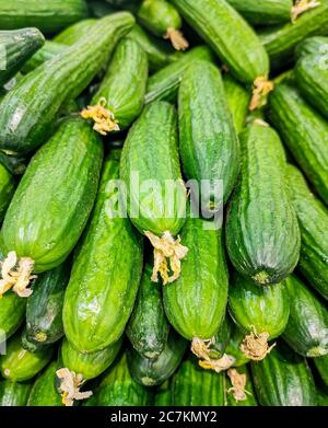 Vertikale Aufnahme von frischen Gurken auf dem Markt Stockfoto