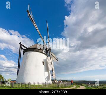 Retz, Windmühle, man entfernt Platten von Windmühlenblättern, um die dem Wind ausgesetzte Fläche zu reduzieren, in Weinviertel, Niederösterreich / Niederösterreich, Österreich Stockfoto