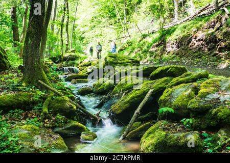 Hardegg, Bach Kajabach, Wanderer, Thaya River National Park Thayatal - Podyji, in Weinviertel, Niederösterreich / Niederösterreich, Österreich Stockfoto