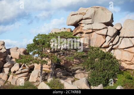 Cote de Granit Rose Rocks Stockfoto