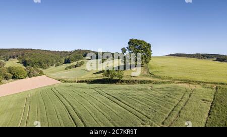 Otzberg, Hessen, Deutschland. Luftaufnahme der Felder im Odenwald. Stockfoto