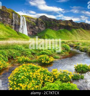 Fantastischer Seljalandsfoss Wasserfall in Island während sonnigen Tages. Lage: Seljalandsfoss Wasserfall, Teil des Flusses Seljalandsa, Island, Europa Stockfoto