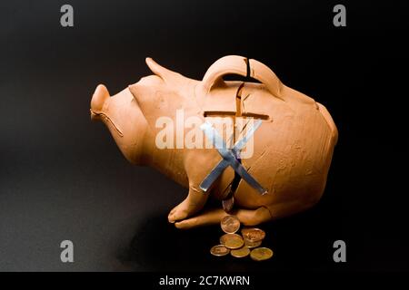 Schlammschweinbank, geformt wie ein Schwein. Stockfoto