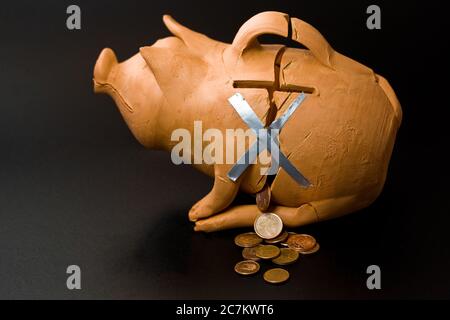 Schlammschweinbank, geformt wie ein Schwein. Stockfoto