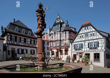 Ehemalige Apotheke Pirsch, 1817/18 Lehrzeit des späteren weltbekannten Chemikers Justus von Liebig (1803-1873), Marktplatz, Fachwerkhäuser, Marienbrunnen, Heppenheim, Bergstraße, Odenwald, Hessen, Deutschland Stockfoto