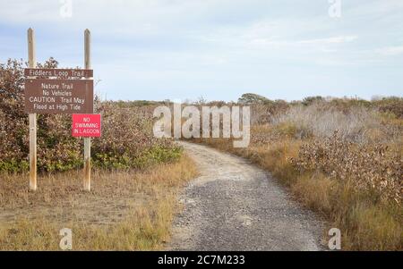 Grand Isle, Louisiana - Februar 2018: Der Fidlers Loop Nature Trail ist eine einfache Wandermöglichkeit im Grand Isle State Park. Stockfoto