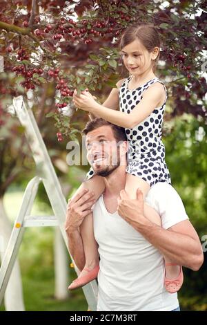 Kleines Mädchen und lächelnder Vater pflücken Kirschen im Garten. Stockfoto