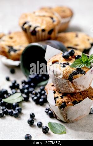 Hausgemachte Blaubeeren Muffins Stockfoto