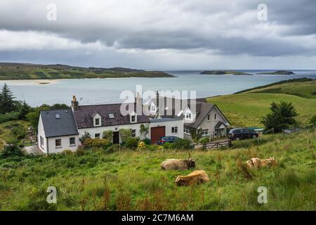 Landschaftlich schöner Blick auf den Kyle of Tongue und ein Dorf Mit Hochlandkühen im Vordergrund in Schottland Stockfoto