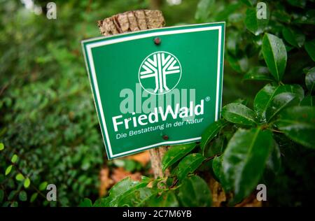 Nuthetal, Deutschland. Juli 2020. Ein Schild "Friedwald - die Bestattung in der Natur" befindet sich am Rande des Weges zur FriedWald Nuthetal-Parforgeheide in der Nähe des Dorfes Nudow im Landkreis Potsdam-Mittelmark. Eichen, Kiefern und Buchen sind die Hauptbäume, die auf dem ca. 23 Hektar großen Gelände wachsen. Im Trauerwald befindet sich ein zentraler Ort des Gedenkens und Gedenkens, eine Urnenstele aus Eichenholz und ein Zufluchtsort für Besucher. Quelle: Soeren Stache/dpa-Zentralbild/ZB/dpa/Alamy Live News Stockfoto