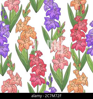 Gladiolus Blume Grafik Farbe nahtlose Muster Hintergrund Skizze Illustration Vektor Stock Vektor