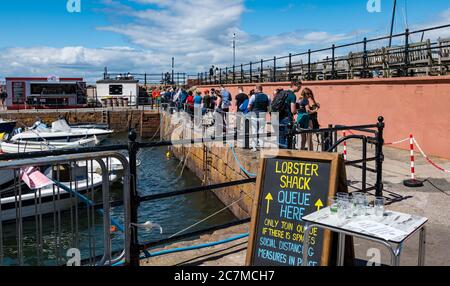 North Berwick, East Lothian, Schottland, Großbritannien, 18. Juli 2020. UK Wetter: Sommersonne in einer sehr belebten Küstenstadt, die wieder normal ist, wenn auch mit sozialen Distanzierungsmaßnahmen. Die beliebte Lobster Shack hat eine lange gesellschaftlich distanzierte Schlange um den Hafen. Für durstige Gäste, die in der Schlange stehen, steht frische Limonade zur Verfügung Stockfoto