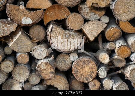 Nahaufnahme eines Holzstapels Stockfoto