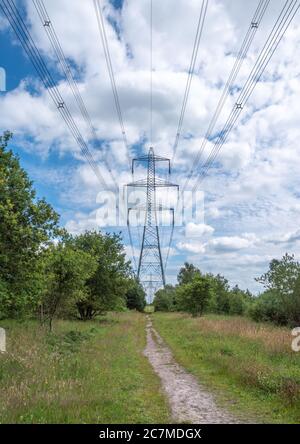 Reihe von Pylonen mit einem dirk-Track, der an einem sonnigen Tag mit blauem Himmel und weißen Wolken durch sie läuft. Stockfoto