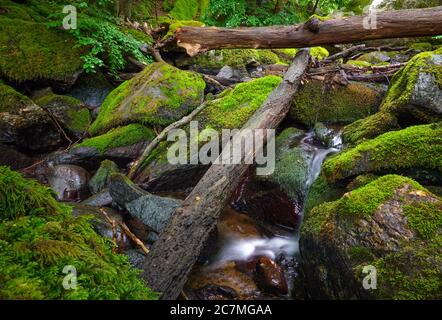 Melsted, Dänemark. Juli 2020. Das Bachtal Kobbea bei dem Wasserfall Stavehöl auf der dänischen Ostseeinsel Bornholm. Die Insel Bornholm ist zusammen mit dem vorgelagerten Archipel Ertholmene die östlichste Insel Dänemarks. Dank seiner Lage zählt die Insel Bornholm viele Sonnenstunden. Quelle: Patrick Pleul/dpa-Zentralbild/ZB/dpa/Alamy Live News Stockfoto