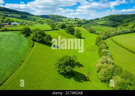 Frühling in Devon bei Tiverton, Devon, England, Vereinigtes Königreich, Europa Stockfoto