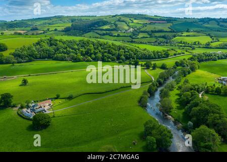 Frühling in Devon bei Tiverton, Devon, England, Vereinigtes Königreich, Europa Stockfoto