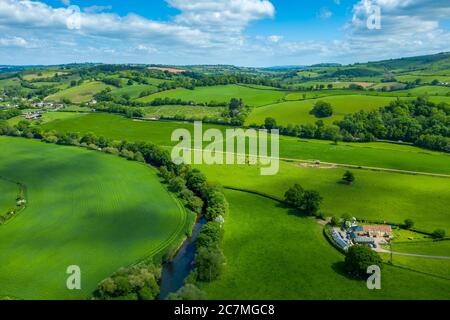 Frühling in Devon bei Tiverton, Devon, England, Vereinigtes Königreich, Europa Stockfoto