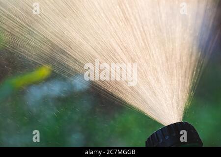 Nahaufnahme des Rasensprinklers mit Hintergrundbeleuchtung, der Wasser ausstreckt. Bewässerung Bewässerungssystem für Sommergarten Konzept Stockfoto