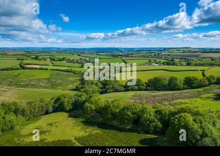 Frühling in Devon bei Tiverton, Devon, England, Vereinigtes Königreich, Europa Stockfoto