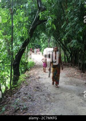 Frau, die auf einem Dorfweg zu ihrem Wohnsitz in Gazipur, Bangladesch, geht. Bäume werden von Dorfbewohnern auf beiden Seiten des Weges für Schatten und Schutz gepflanzt und später wird das Holz geerntet. Stockfoto