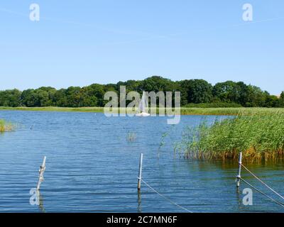 Großer Jasmunder Bodden auf Rügen mit Booten, naturbelassenem Gewässer an der Ostsee Stockfoto