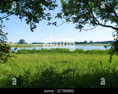 Großer Jasmunder Bodden auf Rügen mit Booten, naturbelassenem Gewässer an der Ostsee Stockfoto